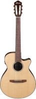Ibanez AEG50N Acoustic Electric Guitar Photo