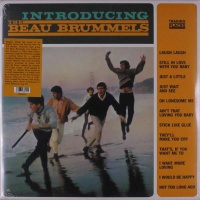 Trading Places Beau Brummels - Introducing the Beau Brummels Photo