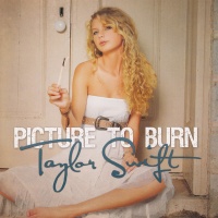 Taylor Swift - Picture to Burn Photo