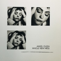Olsen Angel - Whole New Mess Photo