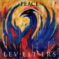 On the Fiddle Levellers - Peace Photo