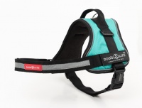 Dogs Life Dog's Life - Active No Pull Control Handle Harness - Turquoise Photo