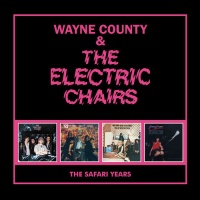 Captain Oi Import Wayne & the Electric Chairs County - Safari Years Photo