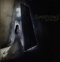 Imports Evanescence - Open Door Photo