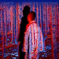 New Citizen Llc Mario - Dancing Shadows Photo