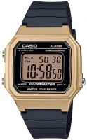 Casio Standard Collection Wrist Watch - Gold and Black Photo