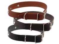 Pet Dog Dog Collar Leather Rivetted 19mm Photo