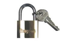 The Cabinet Shop 20mm Carded Brass Padlock Photo