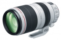 Canon EF 100 - 400 mm f 4.5 - 5.6 L IS Mk 2 USM lens Photo