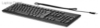 HP USB Keyboards Photo