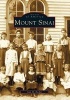 Mount Sinai (Paperback) - Ann M Becker Photo