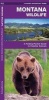Montana Wildlife (Paperback) - James Kavanagh Photo