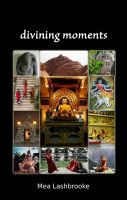 Photo of Divining Moments (Paperback) - Mea Lashbrooke