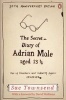 The Secret Diary of Adrian Mole Aged 13 3/4 (Paperback) - Sue Townsend Photo