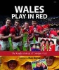 Wales Play in Red - The Rugby Diaries of  (Hardcover) - Carolyn Hitt Photo