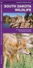 South Dakota Wildlife - A Folding Pocket Guide to Familiar Species (Pamphlet) - James Kavanagh Photo