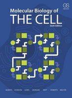Photo of Molecular Biology of the Cell (Paperback 6th Revised edition) - Bruce Alberts
