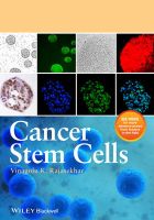 Photo of Cancer Stem Cells (Hardcover) - Vinagolu K Rajasekhar
