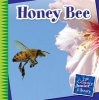 Honey Bee (Paperback) - Katie Marsico Photo