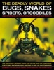 The Deadly World of Bugs, Snakes, Spiders, Crocodiles and Hundreds of Other Amazing Reptiles and Insects - Discover the Amazing World of Reptiles and Bugs, Featuring More Than 1500 Fabulous Wildlife Photographs and Illustrations (Hardcover) - Barbara Tayl Photo