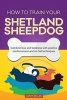 How to Train Your Shetland Sheepdog (Dog Training Collection) - Combine Love and Kindness with Positive Reinforcement and No-Fail Techniques (Paperback) - Cathy Millan Photo