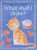 What Shall I Draw? (Paperback, Reissue) - Ray Gibson Photo