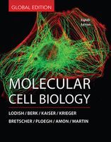 Photo of Molecular Cell Biology (Hardcover) -