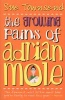 The Growing Pains of Adrian Mole (Paperback, Re-Issue Ed) - Sue Townsend Photo