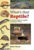 What's That Reptile? (Paperback) - Johan Marais Photo
