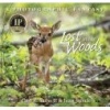 Lost in the Woods (Hardcover) - Carl R Sams Photo