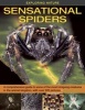 Exploring Nature - Sensational Spiders: A Comprehensive Guide to Some of the Most Intriguing Creatures in the Animal Kingdom, with Over 220 Pictures (Hardcover) - Barbara Taylor Photo