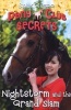 Nightstorm and the Grand Slam (Pony Club Secrets, Book 12) (Paperback) - Stacy Gregg Photo