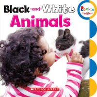 Photo of Black-And-White Animals (Board book) - Jodie Shepherd