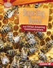 Dancing Bees and Other Amazing Communicators (Hardcover) - Mary Lindeen Photo