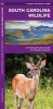 South Carolina Wildlife - A Folding Pocket Guide to Familiar Species (Pamphlet) - James Kavanagh Photo