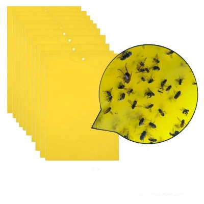 Photo of SDP 10 Packs Double-sided Stick Insect Board Yellow Board Melon Fruit Fly Trap Board