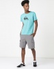Quiksilver Svenka Cargo Shorts Quiet Shade Photo