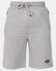Dickies MTB Shorts