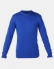 KSTR Pelican Crew Neck Knitwear Elextric Blue Photo