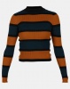 Legit Fitted Stripe Turtleneck Pullover Teal/ Black/ Mustard Photo