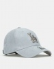 47 Brand Los Angeles Clean Up Cap Grey Photo