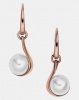Skagen SS Drop Earrings Rose Gold Photo