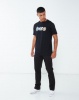 Element Chimp Ss Tee Black Photo