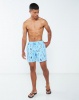 Granadilla Penguins Swim Shorts Baby Blue Photo