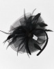 Queenspark Feather Trim Fascinator Black Photo