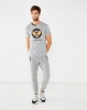 Alpha Industries Alpha Supreme T Grey Melange Photo