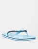 Lizzard Bolton Flip Flops Blue Photo