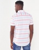 Polo Mens Custom Fit Shirt Sleeved Shirt White Photo