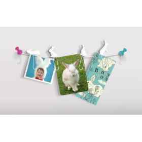 Photo of Fred Friends Bunny Trail Picture Hanger