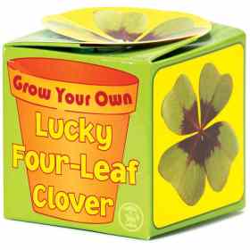 Photo of Bicyclick Grow Your Own Lucky Clover